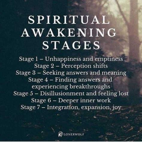 Liberation Quotes, Empath Quotes, Spiritual Awakening Stages, Energy Update, Christ Consciousness, Spiritual Awakening Quotes, Spiritual Evolution, Spiritual Awakening Signs, Awakening Quotes