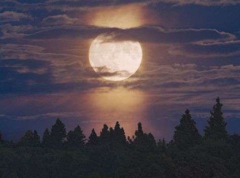 February Full Moon, Forest Moon, Moonlight Sonata, Colorful Sunset, Shoot The Moon, Widescreen Wallpaper, Lunar Cycle, Good Night Moon, Moon Rise