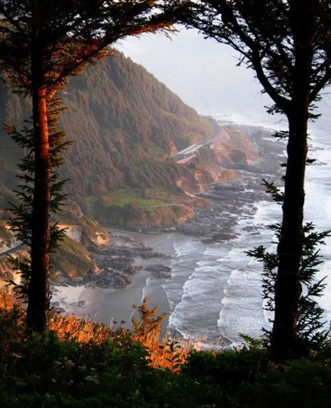 Coast Highway, Oregon... Oregon Sights, 숲 사진, Beautiful Entryways, Gods Creation, A Hill, Oregon Coast, Pretty Places, Narnia, The Coast