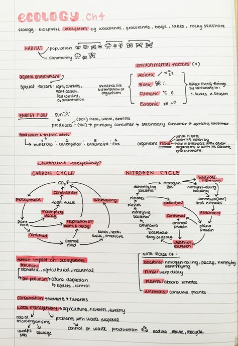 #biology #neatnotes #ecology #aestheticnotes #neathandwriting Ecosystem Biology Notes, Biology Revision Gcse Ecology, Biology Notes Ecology, Ecology Notes College, Biology Ecology Notes, Population Ecology Notes, Ecology Study Notes, Environmental Studies Notes, Ecology Notes Aesthetic