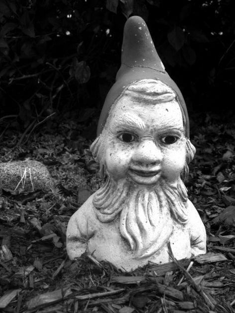 A Rather Creepy Garden Gnome Discovered Buried up to His Chest in Front of a Cottage on Bittersweet Lane in Hampton, NH Creepy Gnome, Gnome Aesthetic, Ghoulish Garden, Rock Gnome, Creepy Garden, Lawn Gnome, Surreal Photography, Garden Gnomes, Garden Gnome