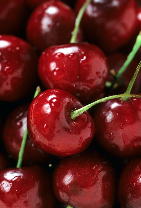 Bing Cherries, Carb Alternatives, Cherry Fruit, Fruit Photography, God Mat, Idee Pasto Sano, Sweet Cherries, Best Fruits, Keto Dessert