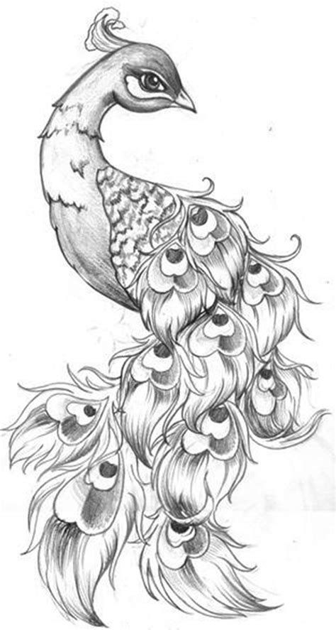 Peacock Drawing, Peacock Tattoo, Kunst Tattoos, Tattoo Heart, Bird Sketch, Tiny Tattoo, Peacock Art, Tattoo Sketch, Feather Tattoos