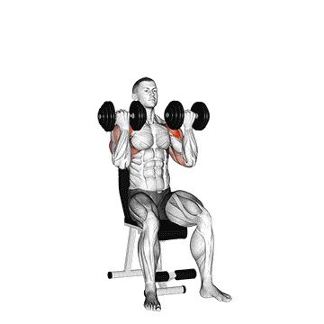 17 Best Rear Delt Exercises For Bigger Shoulders (And Better Posture) 7 Arnold Dumbbell Press, Arnold Shoulder Press, Arnold Press Shoulder Workout, Mens Cardio Workout, Delt Exercises, Shoulder Press Workout, Full Shoulder Workout, Rear Delt Exercises, Shoulder Workout Routine