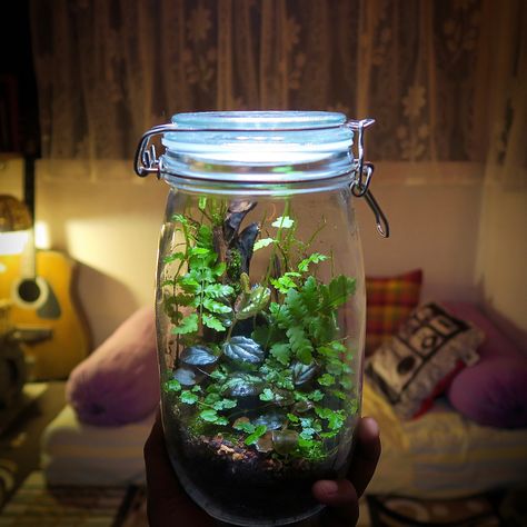 Crafts For Decoration, Colorful Patio Decor, Patio Decor Inspiration, Creative Project Ideas, Mason Jar Terrarium, Glass Spray Paint, Build A Terrarium, Mason Jar Planter, Small Terrarium