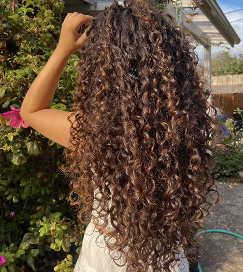 Magic hour🧚🏼 Framing Curly Hair, Haircuts Long Face, Curly Haircuts Long, Face Framing Curly Hair, Curly Hair With Layers, Curly Hair Haircut, Long Face Framing, Natural Curly Hair Cuts, Curly Hair Photos