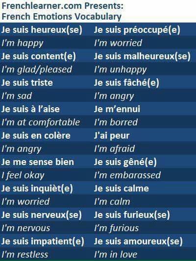 Emotion Vocabulary, French Sentences, French Practice, French Basics, Learn To Speak French, French Conversation, French Dictionary, French Flashcards, Basic French Words