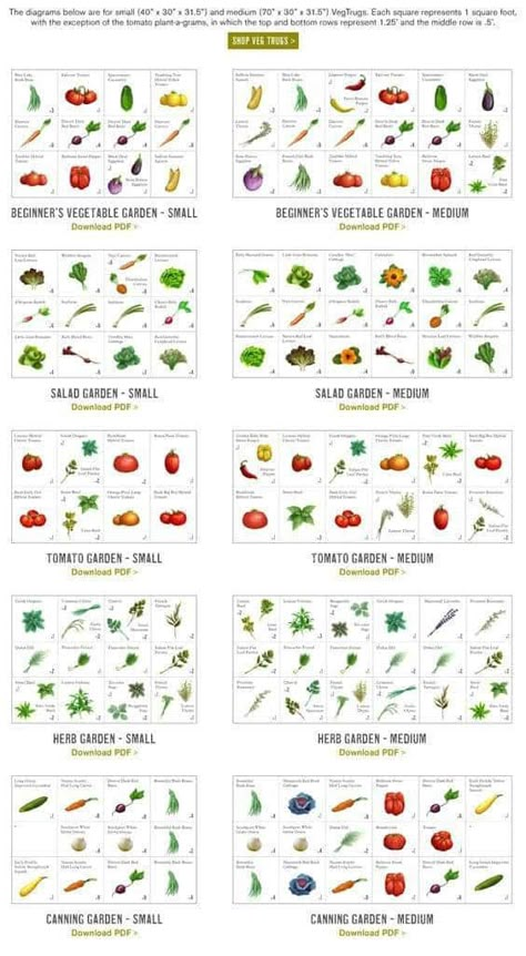 Small backyard garden tips. Use containers or the square foot gardening method. Square foot garden spacing and ideas for small space gardening Small Backyard Garden Ideas, Square Foot Gardening Layout, Gardening Layout, Small Backyard Garden, Square Foot Garden, Backyard Garden Layout, Backyard Garden Ideas, Garden Layout Vegetable, Vegetable Garden For Beginners