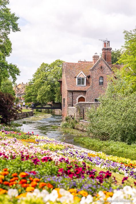 River Stour, Canterbury Canterbury Aesthetic, Summer In England, Day Trip From London, Canterbury England, Dover Castle, Canterbury Kent, 2 Days Trip, White Cliffs Of Dover, England Aesthetic