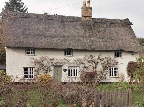 34 Cow Lane, Rose Cottage, Fulbourn | Capturing Cambridge British Cottages, British Cottage, Cottage Gardens, Listed Building, Rose Cottage, English Cottage, Great British, Cambridge, Cow