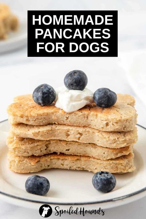 pancake breakfast, pancakes, pancakes vegan, pancak, pancake healthy, pancake recips, pancakes fluffy, pancake mixes, pancake mix, pancakes with strawberry, pancakes muffins, pancake breakfast recipes, pancake toppings, pancakes ideas, pancake ideas, pancake breakfast ideas, pancaked, pancake, pancakes from scratch Mini Waffle Dog Treats, Dog Friendly Pancake Recipe, Banana Pancakes For Dogs, Homemade Breakfast Food For Dogs, Healthy Breakfast For Dogs, Dog Friendly Pancakes, Healthy Dog Breakfast Recipes, Pancakes For Dogs Recipe, Waffles For Dogs