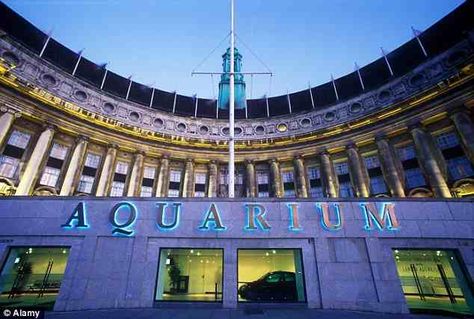 Classic Thames #SouthBank #RiverWalk @geo_tourist http://ow.ly/RfnCv @london_aquarium #CountyHall #architecture Sea Life London Aquarium, London Aquarium, Sea Life Aquarium, Sea Life Centre, Unique Proposals, Thames River, Camden Market, Camden Markets, Smile And Wave