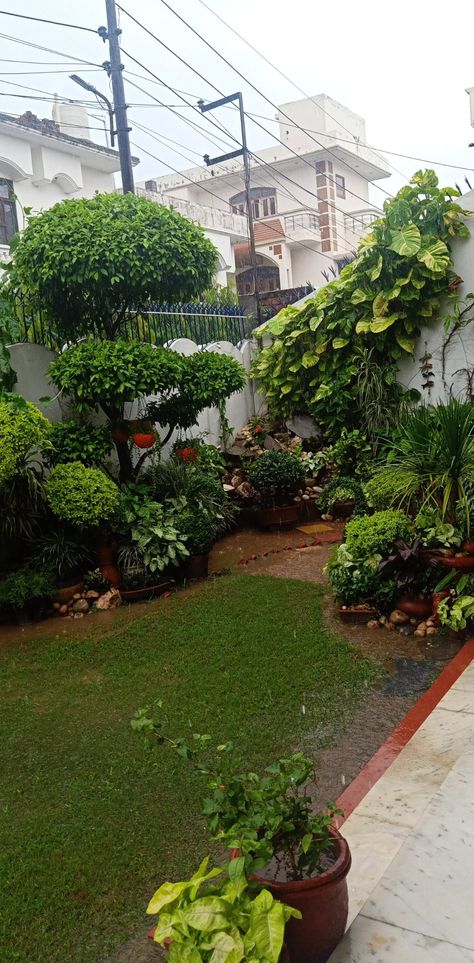 Home Lawn | Garden Area | Urban Jungle Decor | Interior Decor | Greenery | Indian Home Decor | Plants Decor Indian Backyard Ideas, Indian Garden Ideas Outdoor Spaces, Indian Garden Ideas, House Backyard Ideas, Garden Setup, Home Decor Plants, Indian Houses, Backyard Ideas For Small Yards, India House