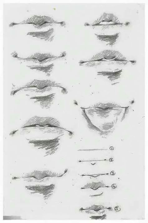 Beautiful Pencil Drawings, Istoria Artei, Mouth Drawing, Nose Drawing, Seni Dan Kraf, Lips Drawing, Art Tools Drawing, Tutorials Drawing, Anatomy Drawing