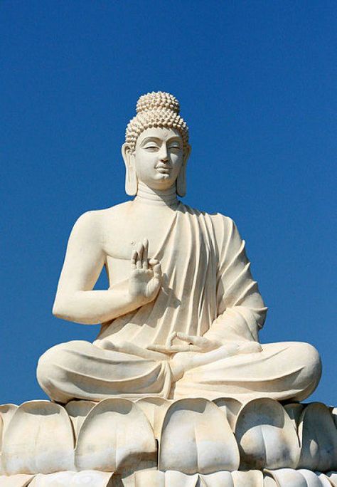 Buddhism proliferated in India and later in other parts of Asia. Many countries including India have erected statues of Buddha, attracting tourists from different countries & keeping Buddhism alive. Buddha India, Elizabeth Clare Prophet, Constitution Day, Medicine Woman, Relaxing Yoga, Big Buddha, Buddha Image, Mole, Buddhism