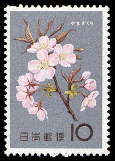 1961, Japan, Set flowers Prunus Serrulata, طوابع بريد, Japanese Stamp, Postage Stamp Design, طابع بريدي, Post Stamps, Postage Stamp Art, Vintage Postage Stamps, Letter Stamps