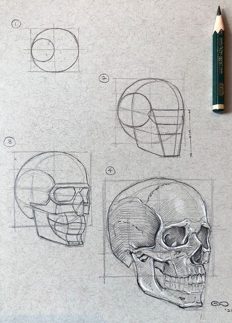 Skull Drawing Sketches, Skull Sketch, Skeleton Drawings, Skull Art Drawing, Výtvarné Reference, Skulls Drawing, 얼굴 그리기, Human Anatomy Art, Human Head