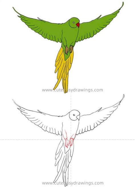 Draw a Green Parrot Flying Bird Bird Drawing Ideas, Draw A Parrot, Snow Leopard Drawing, Flying Bird Drawing, Peppa Pig Drawing, Flying Parrot, Polar Bear Drawing, Dove Drawing, Leopard Drawing