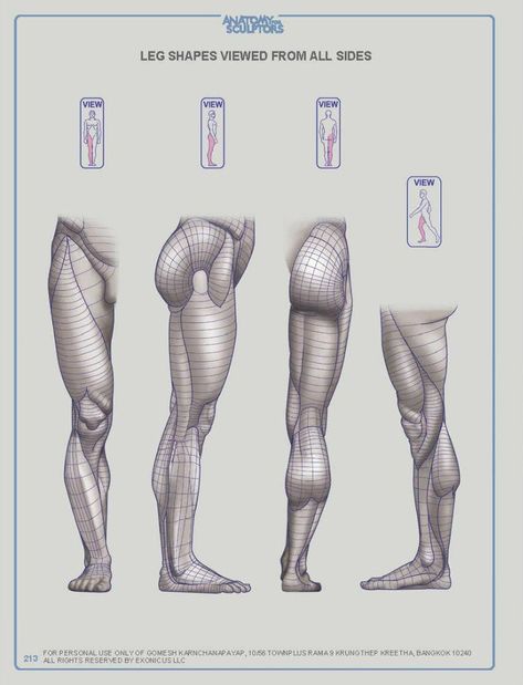 ANATOMY FOR SCULPTORS – 218 photos | VK Leg Anatomy, Drawing Legs, Man Anatomy, Anatomy Sculpture, Human Body Anatomy, Anatomy Tutorial, Human Anatomy Drawing, Human Figure Drawing, Human Anatomy Art