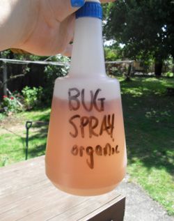 tons of organic/home made pesticides and bug spray ideas for garden and other pesky pest places Gemüseanbau In Kübeln, Organic Pest Control, Bug Spray, Cleaners Homemade, Garden Pests, Back To Nature, Diy Cleaning Products, Permaculture, Pest Control