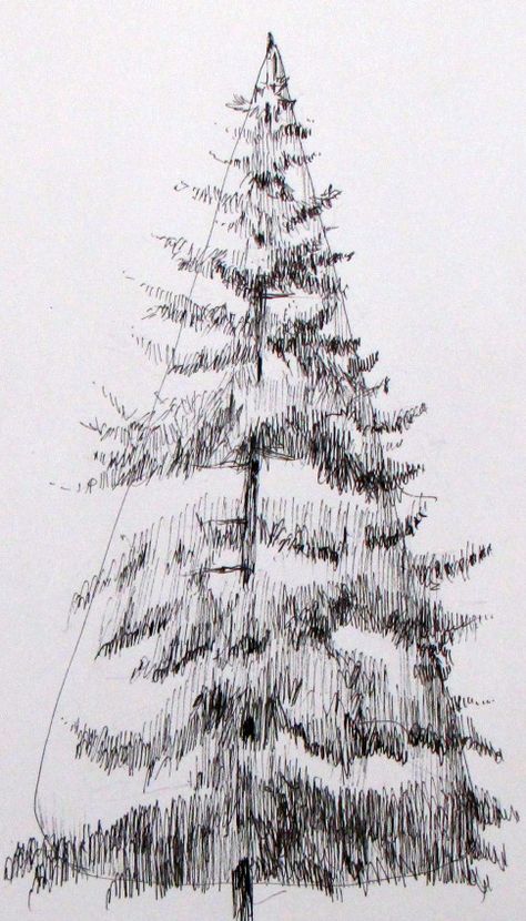 More about Drawing Trees – Love to Draw Tree With Snow Drawing, Snow Drawing, Trees Drawing Tutorial, Evergreen Tree Tattoo, Tree With Snow, Pine Tree Drawing, Christmas Tree Drawing, Pencil Drawing Images, Landscaping Trees