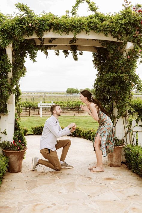 Proposal Ideas Winery, Signor Vineyards, Vineyard Proposal, Winery Proposal, Proposal Places, Spring Proposal, Suprise Proposal, Summer Proposal, Outdoor Proposal