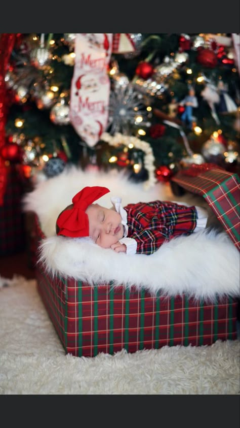 Baby Christmas Photos 3 Month, Newborn Girl Photoshooting Ideas Christmas, Christmas Newborn Photoshoot With Sibling, Newborn December Pictures, Christmas Gift For Newborn, Candy Cane Baby Photos, December Newborn Pictures, Diy Newborn Christmas Photos, December Baby Photoshoot