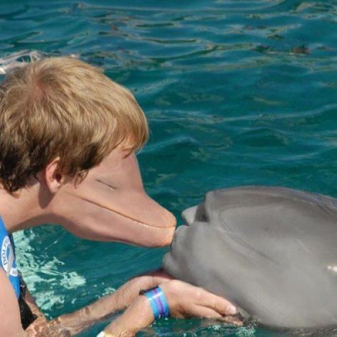 The Dolphin: | 26 Face Swaps That Will Make You Ridiculously Uncomfortable Funny Face Swap, Face Swap, Face Swaps, 웃긴 사진, Funny Faces, Bones Funny, Funny Photos, Dankest Memes, Funny Images