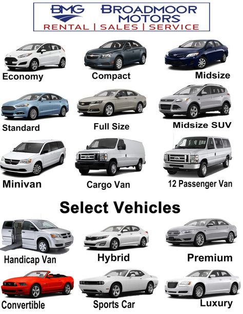 Car Names List, Car Vocabulary, Type Of Cars, Aesthetic Bike, Car Symbols, Maruti Suzuki Cars, Sales Increase, Batman Car, Types Of Cars