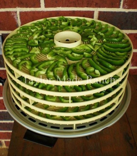 DEHYDRATING BELL PEPPERS - After running into a great deal on bell peppers I decided to dehydrate them for future use.  It was easy - check it out!  #TaylorMadeHomestead Dehydrating Bell Peppers, Dehydrating Food Storage, Food Dehydration, Dehydrated Vegetables, Canning Food Preservation, Canned Food Storage, Bell Pepper Recipes, Dehydrated Fruit, Green Peppers