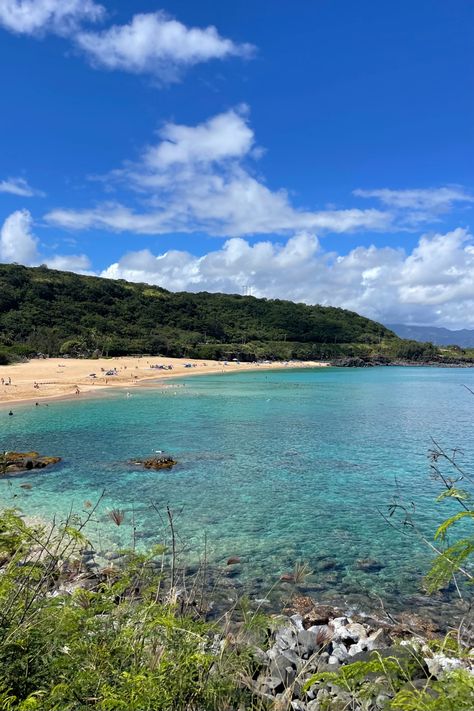 hawaii beach Waimea Bay, Vacay Vibes, Hawaii Life, Hawaii Beach, Hawaii Beaches, Marine Biology, Oahu, Biology, Dream Life