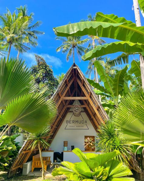 🇵🇭One of the accommodations in Siquijor Island that I highly recommend. The vibes, the comfort, and the service were something that every traveler would satisfy.🍃 Staying at @bermudatrianglesiquijor not only provides convenience for exploring your adventure destinations but also ensures comfort. It is the perfect choice for those who want a fantastic vacation. 😌🌴 Check @bermudatrianglesiquijor ‘s profile for more details. 📍Address: San Juan, Siquijor, Philippines #philippines #philippine... Cultural Heritage In The Philippines, Siquijor Philippines, Siquijor Island, Bicol Region Tourist Spot, San Juanico Bridge Philippines, Asia Travel, Philippines, Hotel, Travel