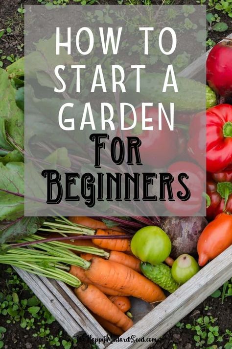 Start A Garden For Beginners, Vegetable Garden Planner, A Lot Of Food, Start A Garden, Garden For Beginners, Starting A Vegetable Garden, Vegetable Garden For Beginners, Organic Vegetable Garden, Garden Planner