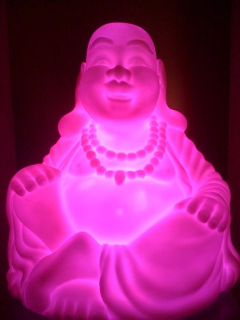 neon pink buddha Pink Buddha, Buddha Wallpapers, Judy Moody, Neon Buddha, Neon Colours, Happy Buddha, Rose Colored Glasses, Pink Nation, Picture Collage Wall