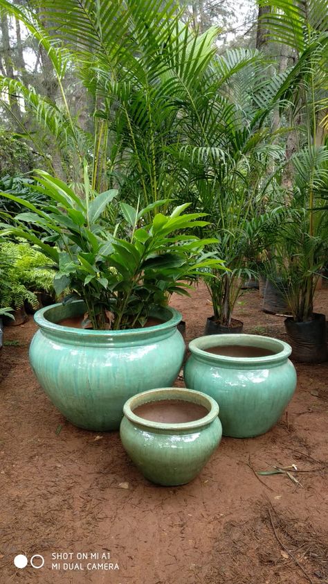 Planter Inspiration, Courtyard Ideas, Garden Urns, Green Pottery, Green Things, Cement Planters, Celadon Green, Concrete Pots, Los Angeles Style