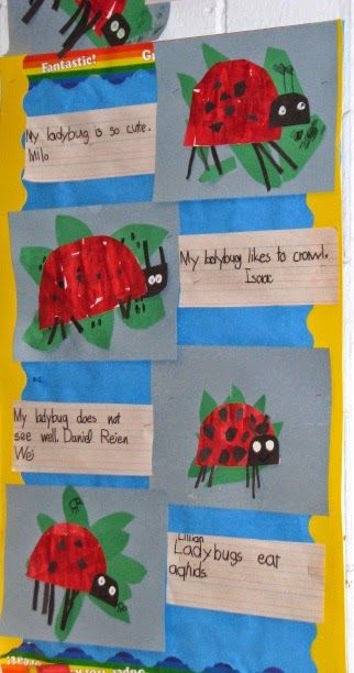 Ladybug Art Kindergarten, The Very Grouchy Ladybug Activities, The Bad Tempered Ladybird Activities, The Grouchy Ladybug Crafts, Preschool Ladybug Craft, Ladybug Kindergarten Activities, Grouchy Ladybug Activities Preschool, The Grouchy Ladybug Activities Preschool, What The Ladybird Heard Eyfs