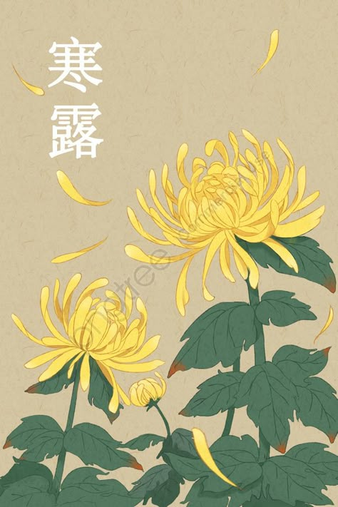 Chrysanthemum Illustration, Chrysanthemum Drawing, Lion Flower, Experiential Art, Japan Painting, Japanese Drawings, Japanese Flowers, Arte Inspo, China Art