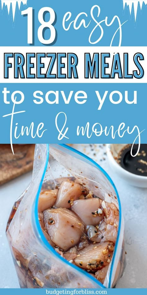 Make Ahead Crockpot Meals To Freeze Dump Dinners, Skillet Freezer Meal Prep, Easy Frozen Meal Prep Ideas, Freeze Ahead Instant Pot Meals, Crock Pot Make Ahead Freezer Meals, Meal Prep Ideas Simple, No Cook Freezer Meals Make Ahead, Uncooked Freezer Meals, Make One Freeze One Dinners