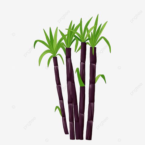 Sugarcane Painting, Sugarcane Drawing, Black Plant, Fruit Cartoon, Plant Background, Stencil Design, Leaf Border, White Plants, Vascular Plant