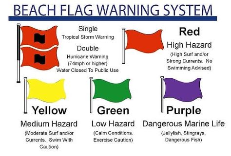 Visit Surfside Beach TX on Instagram: “Today is a Yellow Flag day. That means you should swim with caution. Non-swimmers and children should always stay close to shore. Remember…” Couples Beach Vacation, Dangerous Fish, Beach Safety, Roofing Colors, Swimming Safety, Lifeguard Stands, Beach Flags, Birth Colors, Navarre Beach