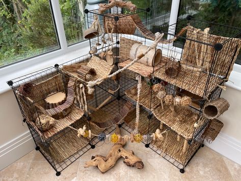 Rat Enrichment Ideas, Rat Cage Setup Ideas, Rat Free Roam, Rat Free Roam Area, Rat Play Area, Rat Enrichment, Rat Cage Ideas, Wooden Hamster Cage, Pet Rat Cages