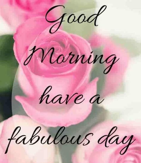 Good Morning Mama, Pink Good Morning, Good Morning Rose Images, Latest Good Morning Images, Lovely Good Morning Images, Latest Good Morning, Good Morning Greeting Cards, Good Morning Beautiful Gif, Good Morning Quote