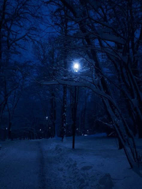 winter, night, walk Cold Night Aesthetic, Deep Winter Aesthetic, Blue Snow Aesthetic, Dark Blue Winter Aesthetic, Dark Cold Night Aesthetic, Ball Room Aesthetic, Dark Winter Aesthetic, Ambient Aesthetic, Winter At Night