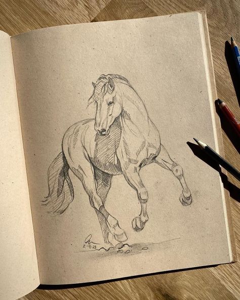 Horse Drawing Tutorial, Horse Art Drawing, Horse Sketch, Pencil Sketch Drawing, Animal Drawings Sketches, Horse Art Print, Pencil Shading, White Pen, Horse Drawing