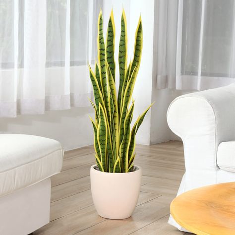 Sansevieria Decor, Plant For Indoor, Indoor Plants Styling, Plant Styling, Japandi Living, Sansevieria Trifasciata, Plant Aesthetic, Minimal Home, Garden Office