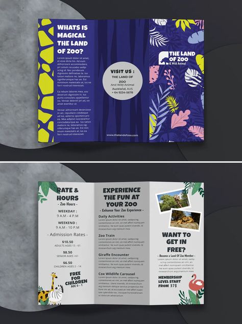 The Land of Zoo Tri Fold Brochure Template InDesign INDD Zoo Brochure, Tri Fold Brochure Template, Brochure Design Layouts, Brochure Graphic, Trifold Brochure Design, Design Layouts, Fold Brochure, Stationery Printing, Canvas Painting Tutorials