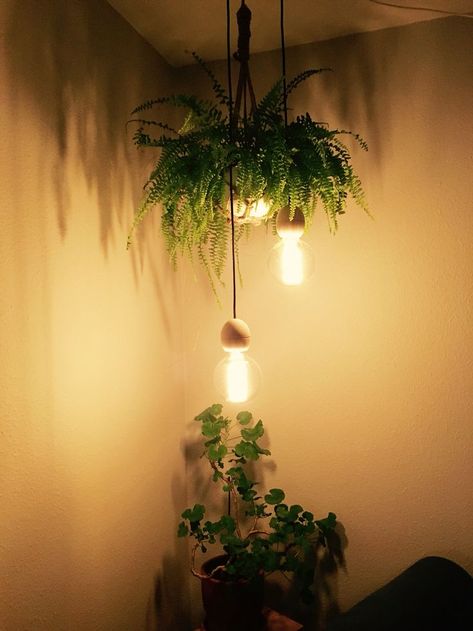 Home decor aesthetic ideas with plants living room Hanging Lights With Plants, Light Pendent Ideas, Corner Hanging Light Living Room, Hanging Plant Light, Plant Lamps, Plant Chandelier, Bulb Ideas, Hanging Bedroom Lights, Hang Plants