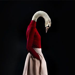 swan - photographer Miguel Vallinas Fashion Photography School, Surealism Art, Animal Portraits Art, Animal Heads, Photo Series, Arte Animal, Second Skin, Pet Clothes, Fashion Photo