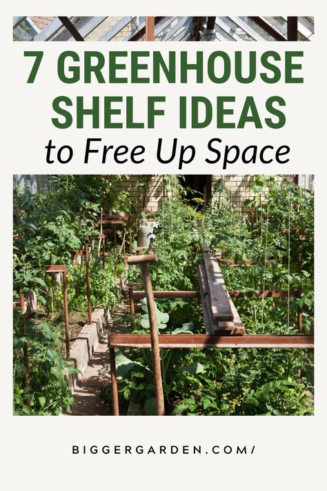 Upgrade your greenhouse with 7 innovative shelf ideas, from modern greenhouses DIY to creative small space greenhouse ideas. Incorporate armoire greenhouse designs, greenhouse tables shelves, and even living room greenhouse features. Transform your small porch greenhouse and try building a lean-to greenhouse with these green house inside ideas. Moveable Herb Garden, Solar Panel Greenhouse, Green House Set Up, Greenhouse Tables Diy, Inside A Greenhouse Ideas, Diy Greenhouse Windows, Small Greenhouse Interiors Layout, Greenhouse Set Up, Greenhouse Storage Ideas