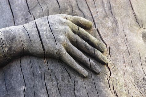 wooden hand - kurkcudbright, scotland Peeta Mellark Aesthetic, Carving Aesthetic, Hand Aesthetic, Show Of Hands, The Adventure Zone, Peeta Mellark, Tree Roots, Hand Art, Wooden Hand